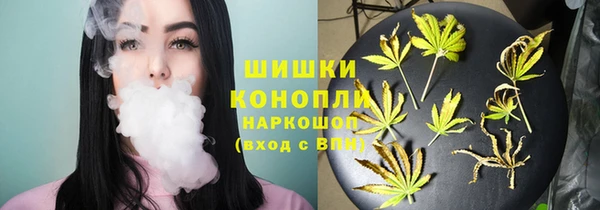гидра Бронницы