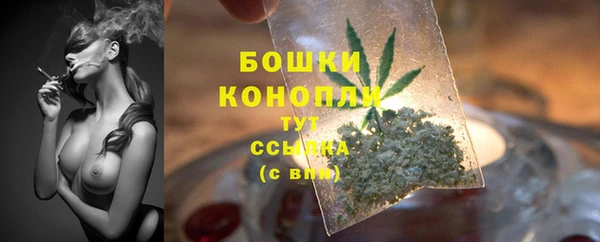 гидра Бронницы