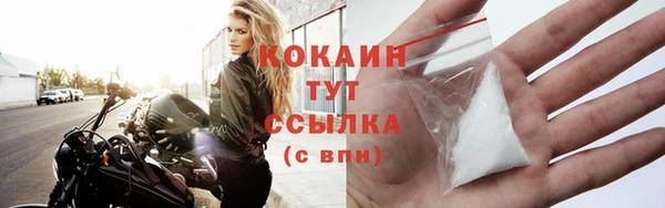 гидра Бронницы
