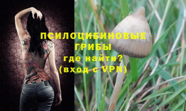 мяу мяу кристалл Бородино