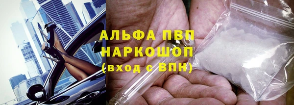 гидра Бронницы