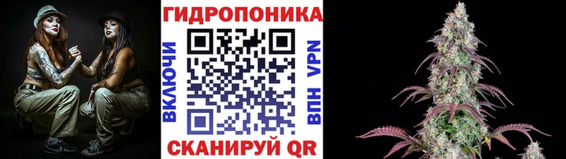 Бошки марихуана SATIVA & INDICA  Купить где  Нестеров 